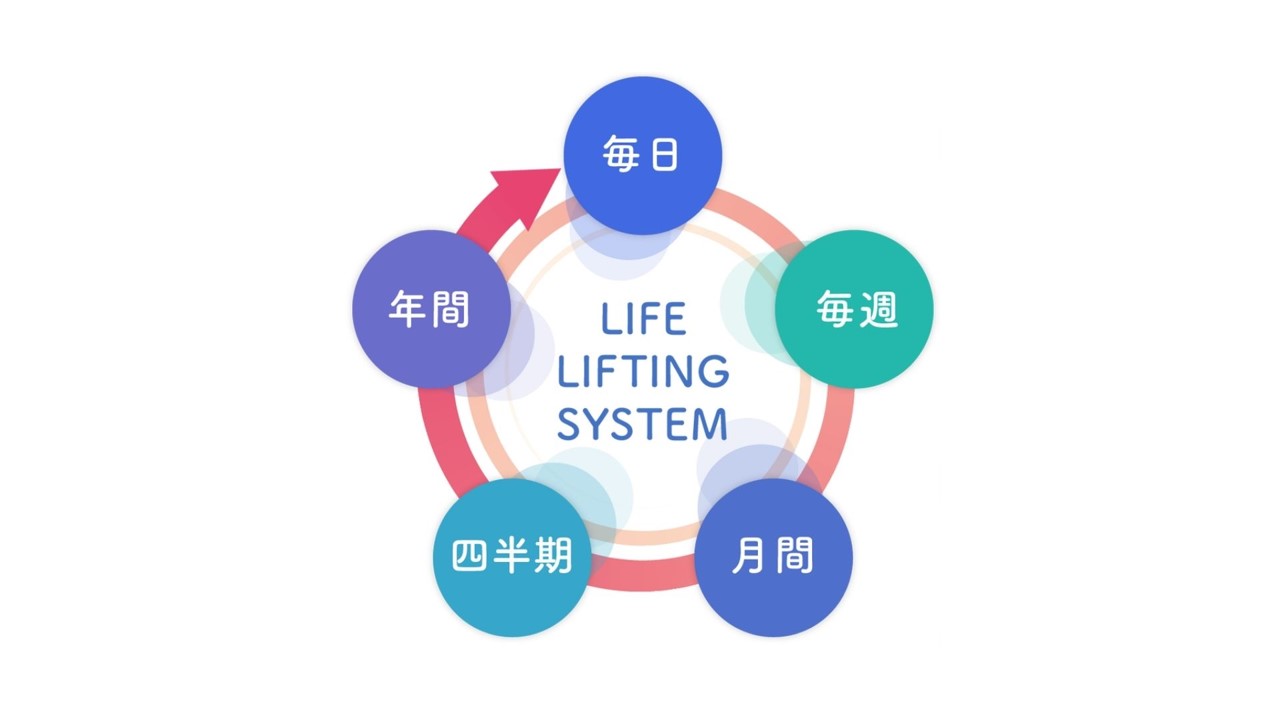 lifelift-system