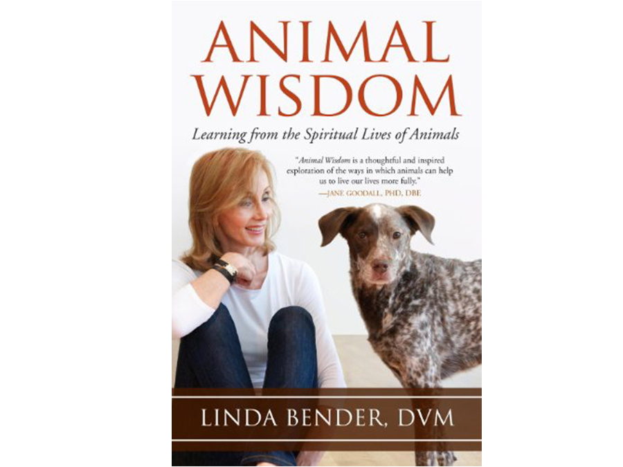 『Animal Wisdom: Learning from the Spiritual Lives of Animals』 